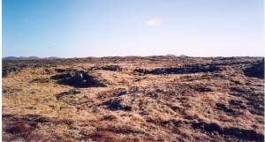 129. Hraunin sel Óttarsstaða að vori