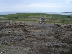 Flokavardi